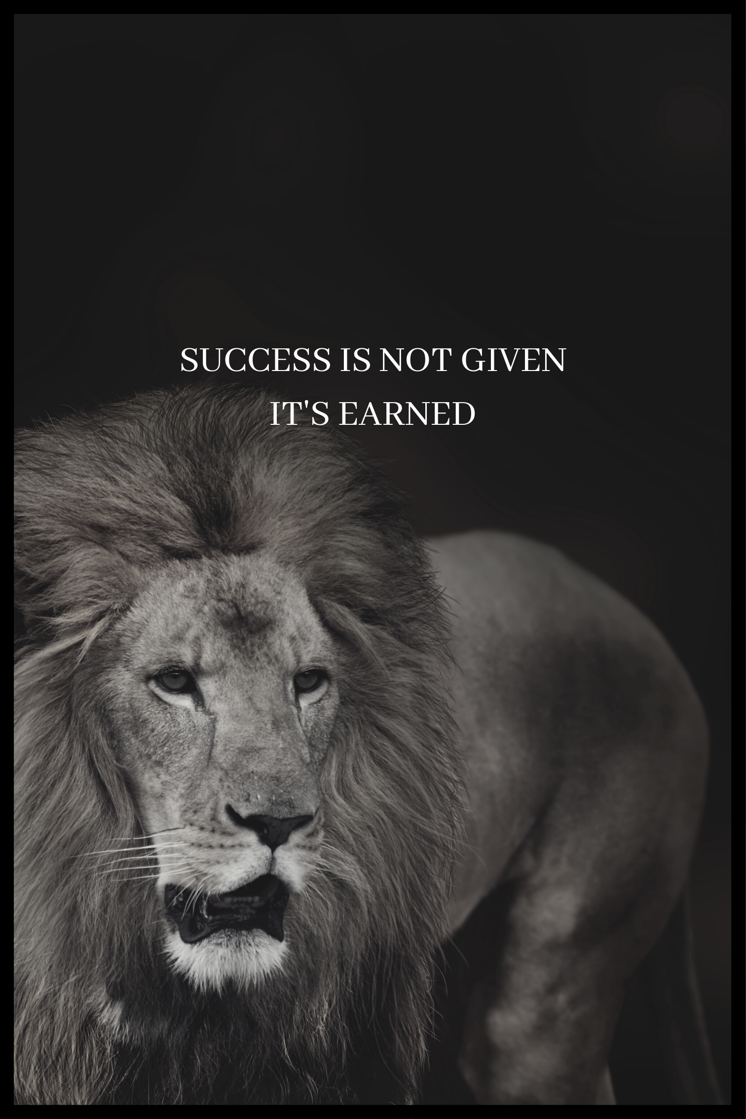 Success is not given plakat
