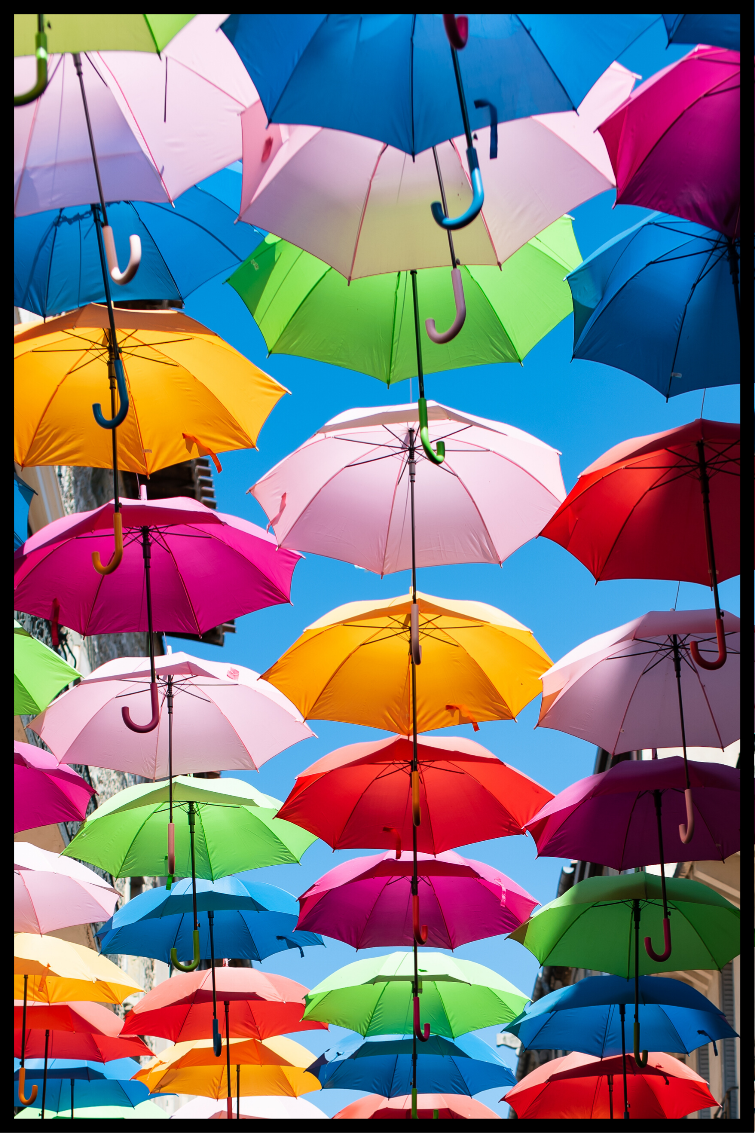 Farvet paraply plakat