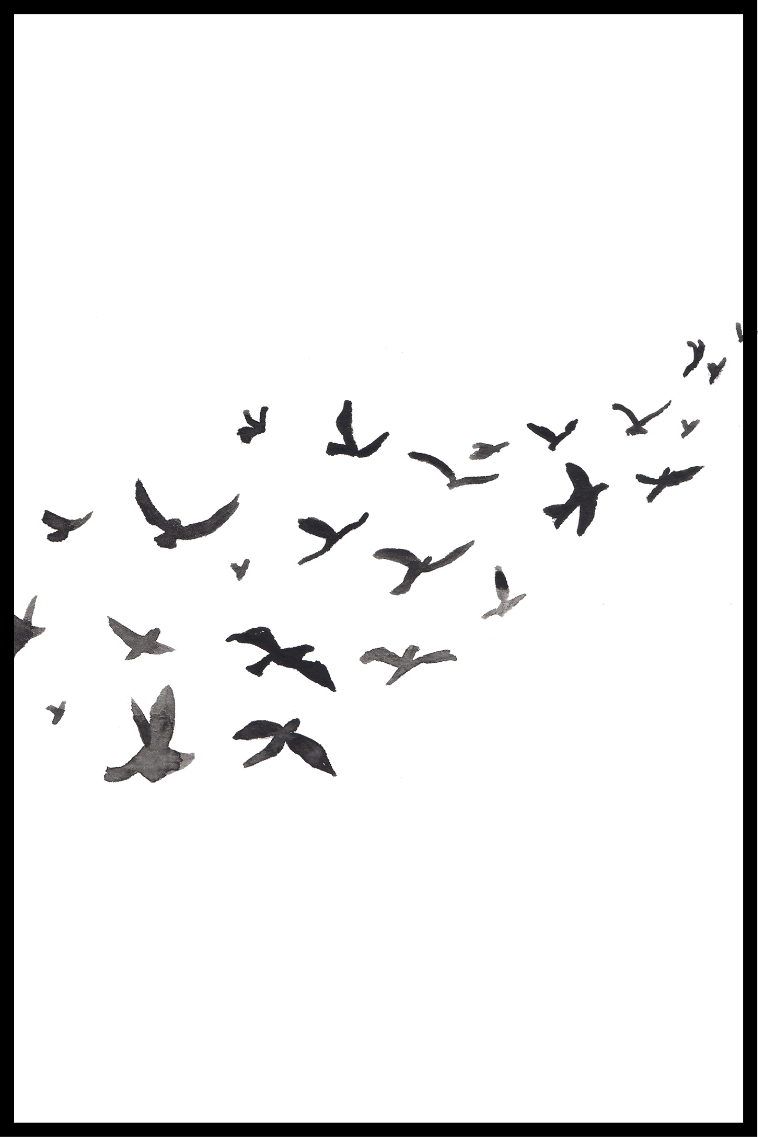 Birds plakat