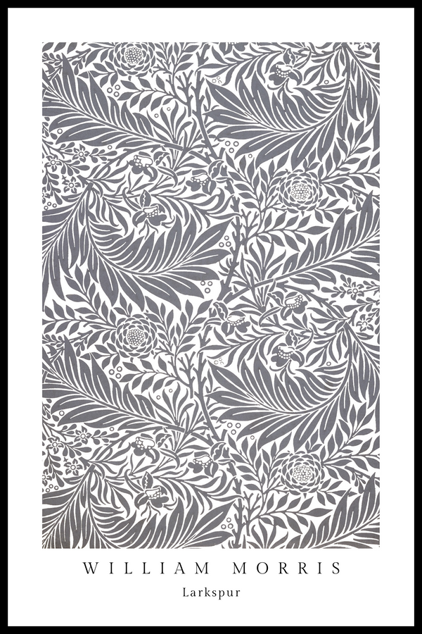 Larkspur plakat