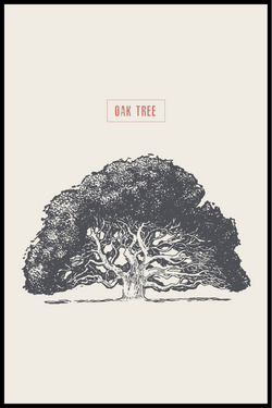 egetræ plakat