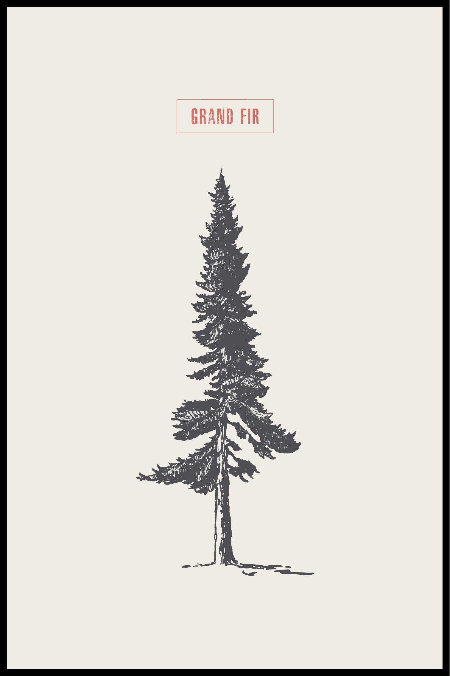 grantræ plakat