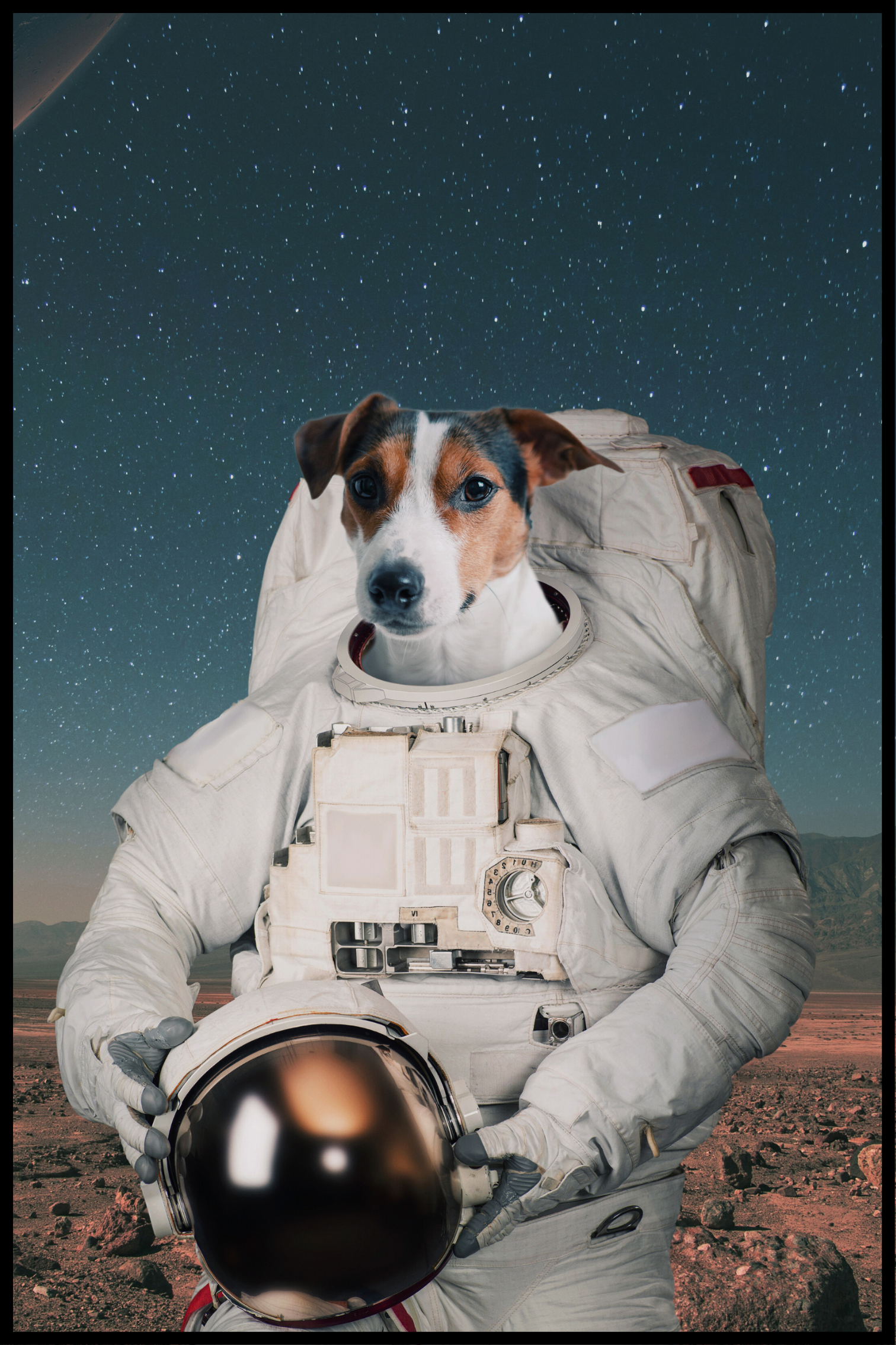 Astronaut Hund plakat