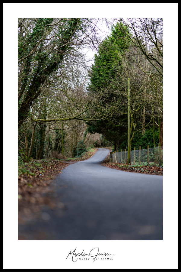 Martin Jensen world tour plakat // Irish Roads