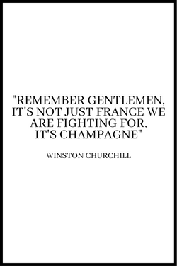 Remember gentlemen plakat