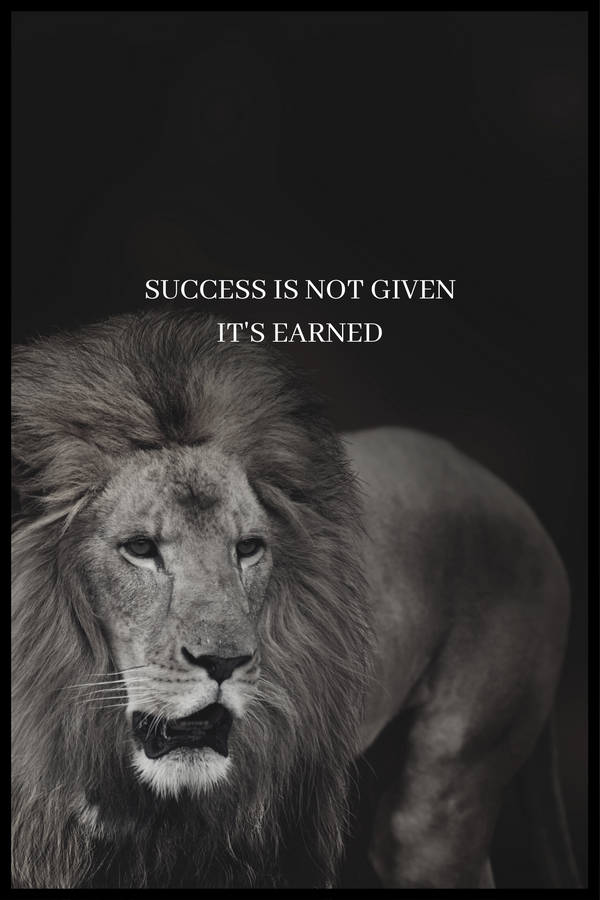 Success is not given plakat