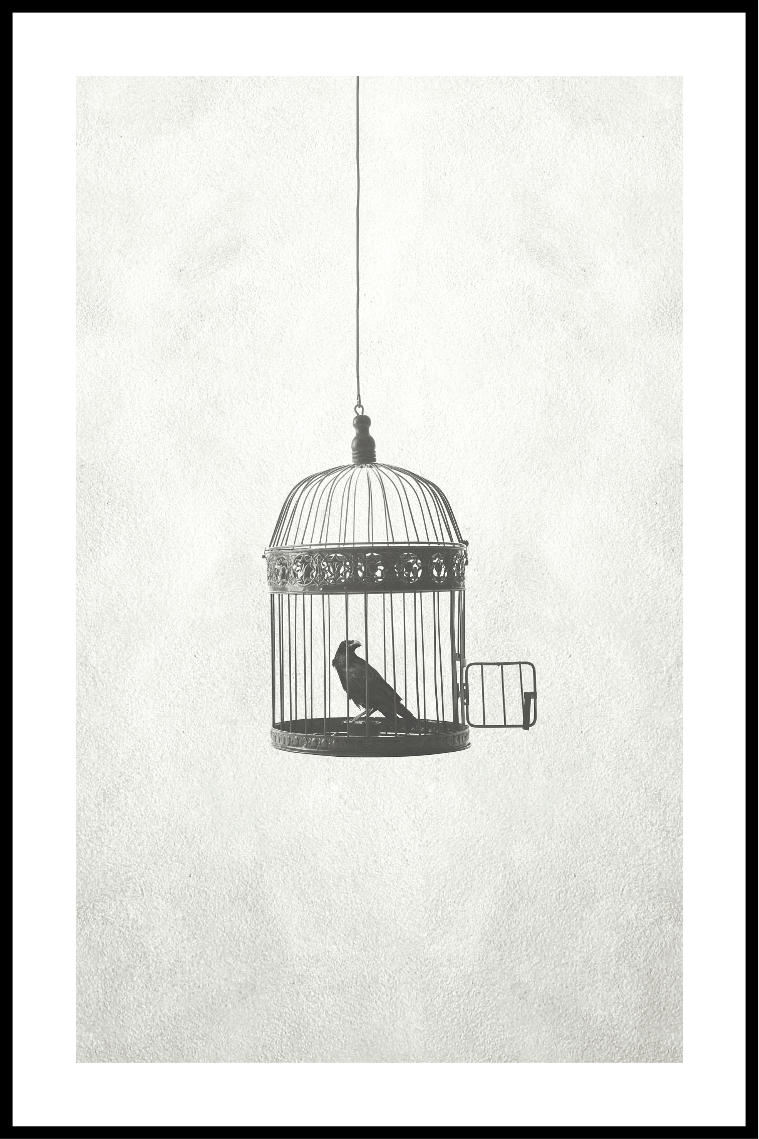 Bird in an open cage plakat