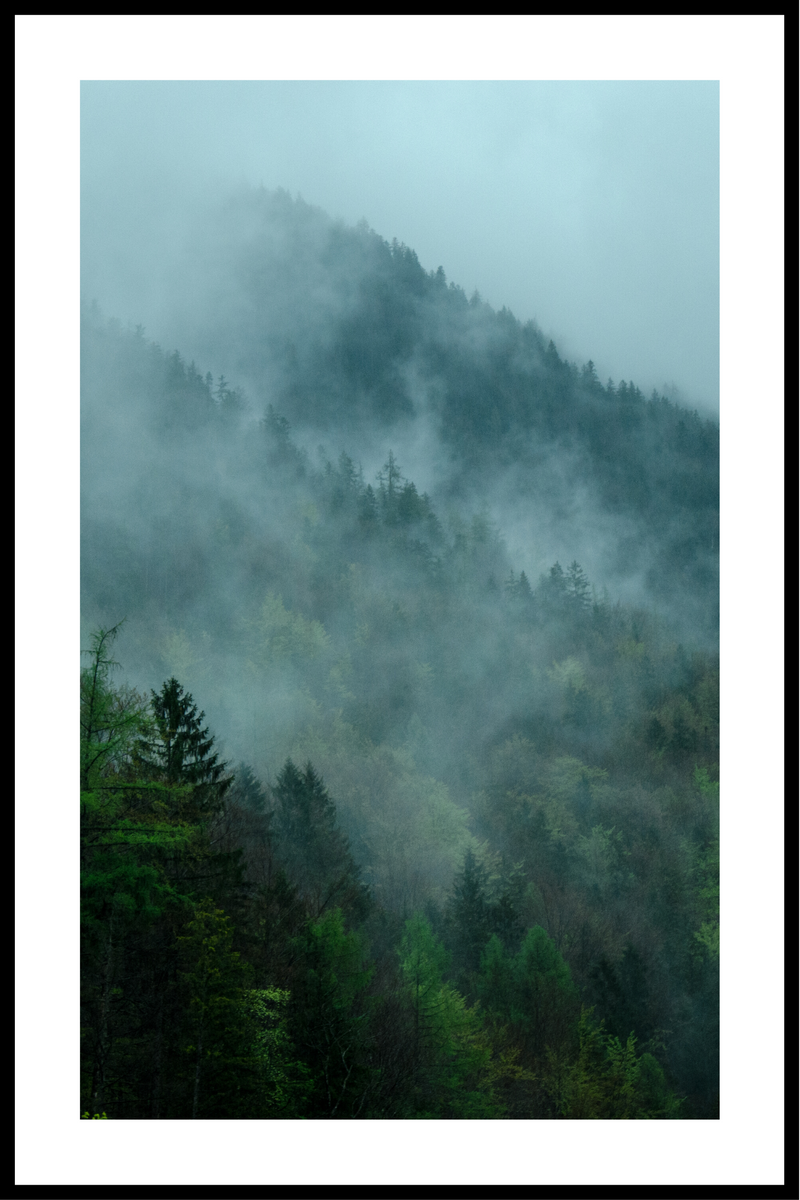 Tåget skov plakat