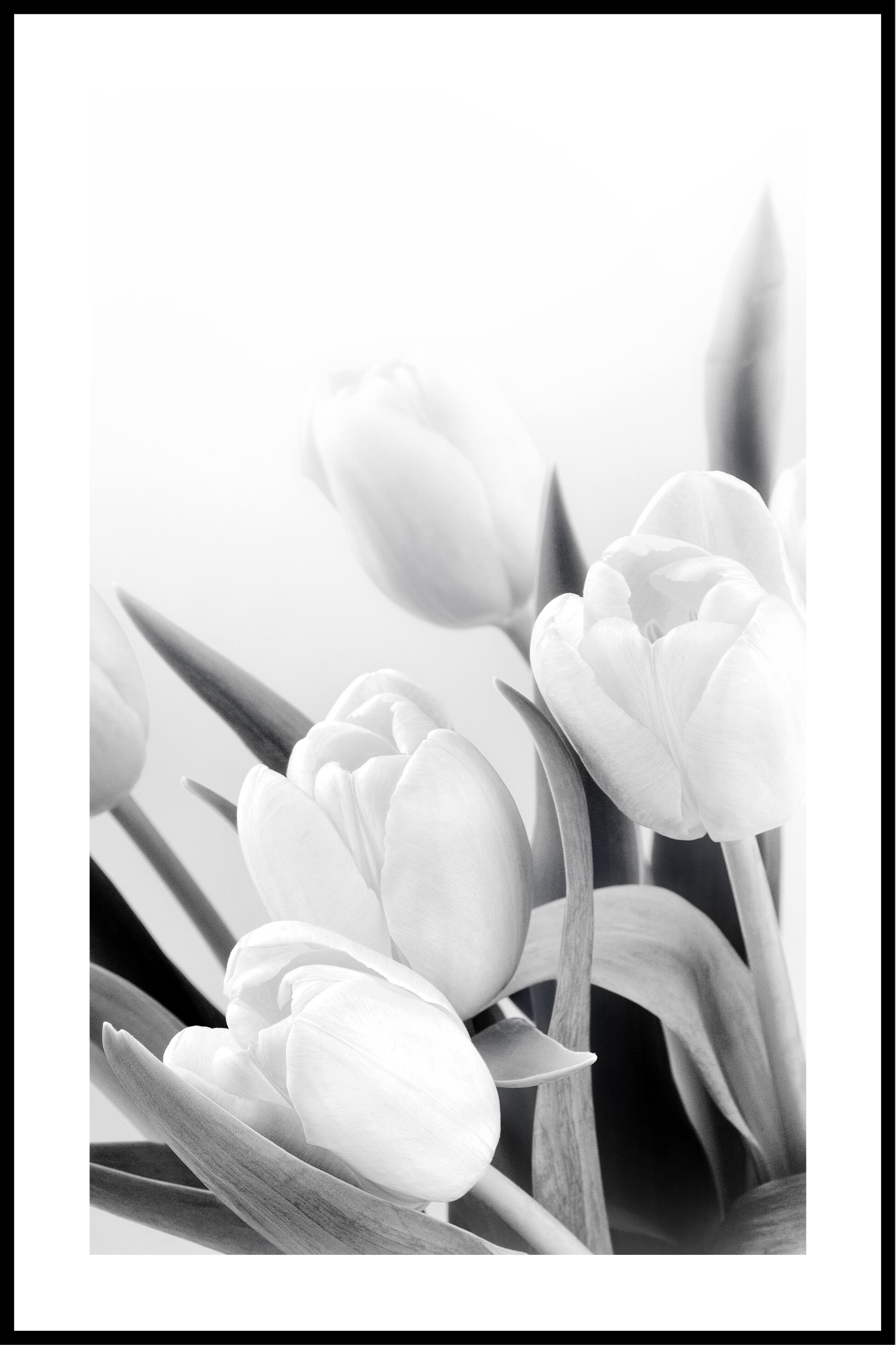 Blomster hvid og sort plakat