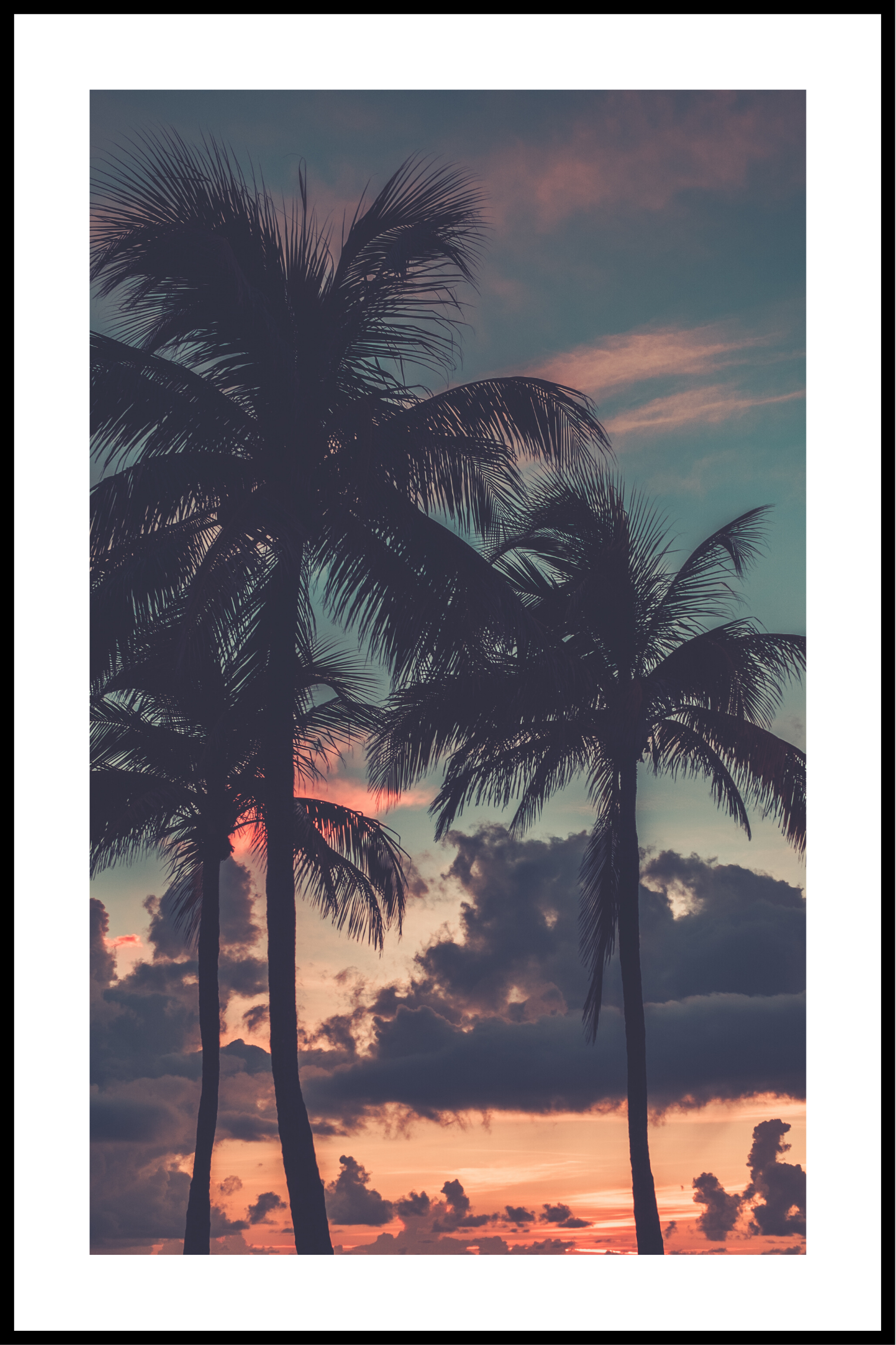 palmer i solnedgang plakat