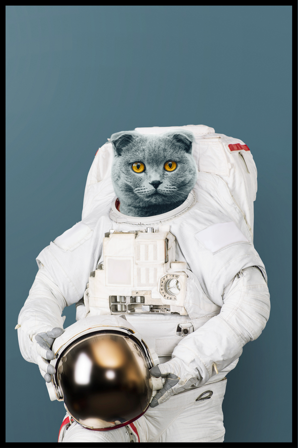 Astronaut Kat plakat