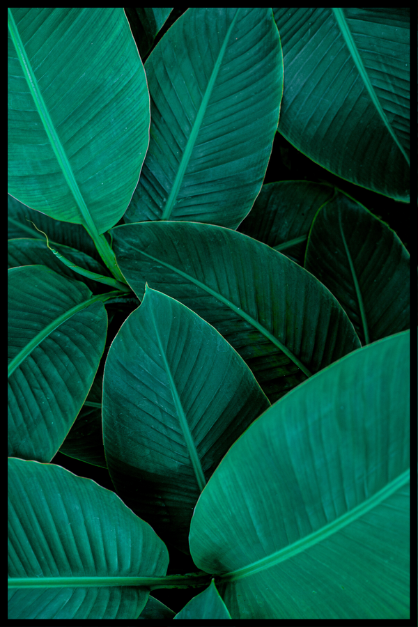 grønne blade plakat