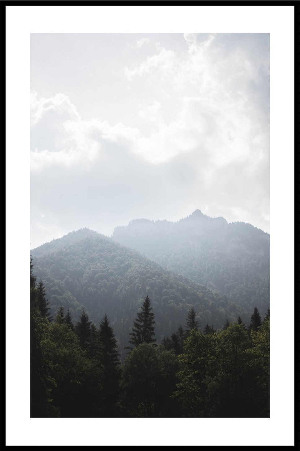 Bjerge med skov plakat