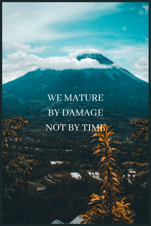 We Mature By Damage plakat